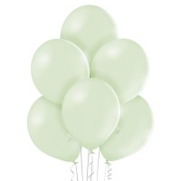 Ballon Standard Vert Kiwi (Kiwi Cream 452 D11/30cm)