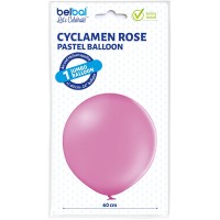 B250 437 Cyclamen Rose