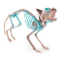 Halloweendecoratie Staand: Kat Skelet (60cm)