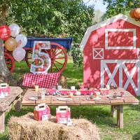 Farm Party Happy Birthday Bunting Decoration
