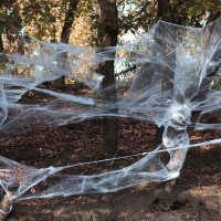 Spinnenweb Wit met 25 Spinnen (500g)