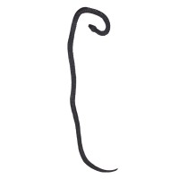 Slang Python Rubber (75cm)