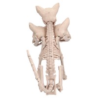 Halloweendecoratie: Skelet Hond Cerberus (33 x 17 cm)