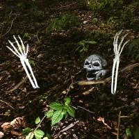 Halloweendecoratie: Set Begraven Skelet (schedel en armen)