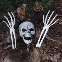 Set Buried skeleton (skull and arms)