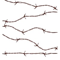 Barbed Wire (2,10m)
